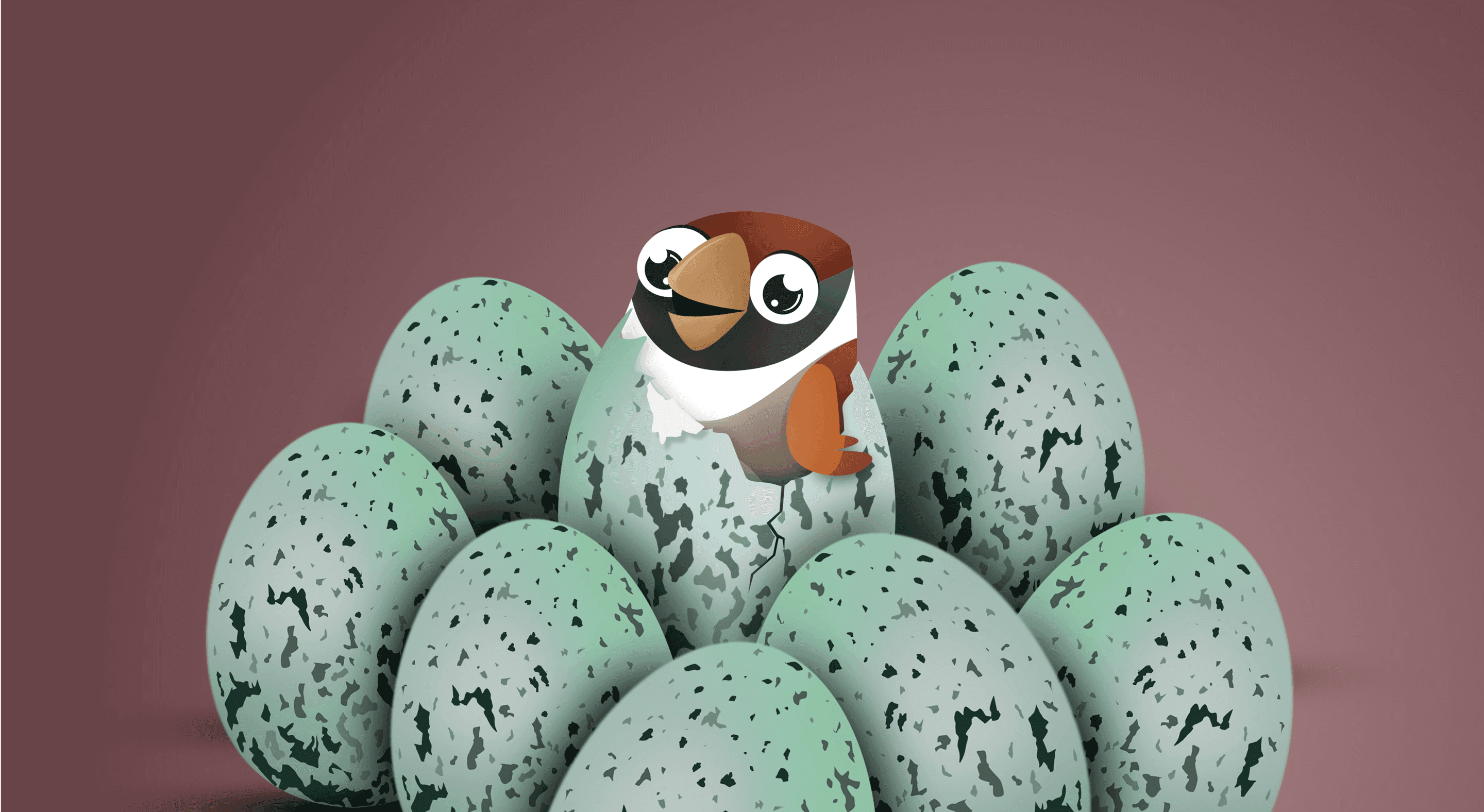 Our Startup Story: How SurveySparrow Hatched Out of its Shell Our Startup Story: How SurveySparrow Hatched Out of its Shell